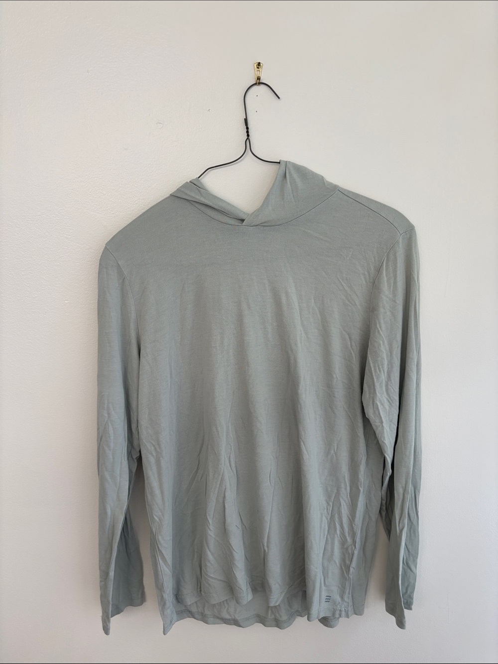 Free Fly Apparel Men's Long Sleeve Hooded Tee in Light green